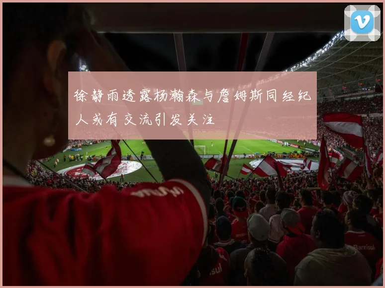 徐静雨透露杨瀚森与詹姆斯同经纪人或有交流引发关注